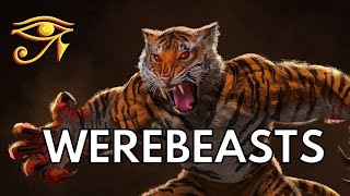 Werebeasts  Tigers Hyenas and More [upl. by Ebberta]