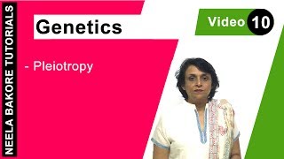 Genetics  Principles of Inheritance amp Variations  Pleiotropy  NEET  Neela Bakore Tutorials [upl. by Rhodes]