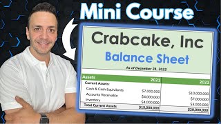 Principles of the Balance Sheet A mini crash course with everything you need to know [upl. by Fine]