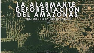 LA ALARMANTE DEFORESTACIÓN DEL AMAZONAS  Vista desde el Satélite de la Nasa TimeLapse [upl. by Nisior]