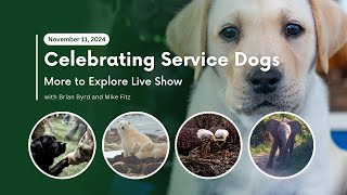 Celebrating Service Dogs  More to Explore Live Show [upl. by Tsirc817]