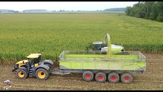 Eastside Dairy Corn Silage Harvest 2020 [upl. by Laura]