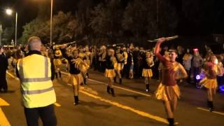 Tiverton Town Majorettes [upl. by Inanaup776]