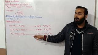 Reactions of Alkenes  Hydrohalogenation of Alkene  Ch12  10th class chemistry [upl. by Gwennie]