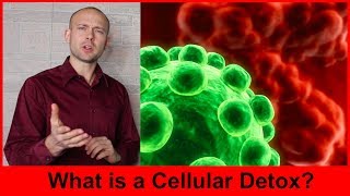 What is a cellular detox [upl. by Carey795]