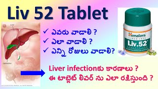 Liv 52 Tablet full details in Telugu  Uses Working Dosage Side effects Precautions Composition [upl. by Lyndsie]