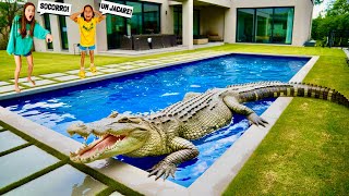 ENCONTRAMOS UM JACARÉ GIGANTE AQUI EM CASA🐊😰 [upl. by Ayiotal]