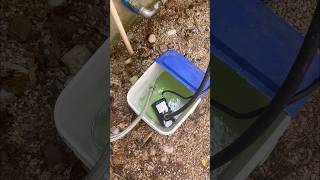 Tankless Water Heater Flush [upl. by Cesar33]