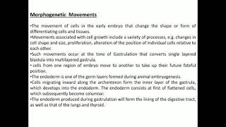 morphogenetic movements [upl. by Ahseiyt841]