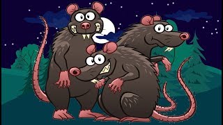 All You Need to Know About RATS [upl. by Taran611]