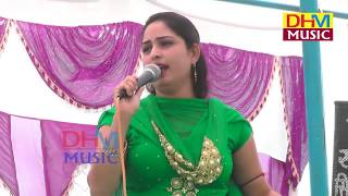 गोरी रानी  Gori Rani  Nangal Choti Program 2017 DHM Music [upl. by Sivrup]