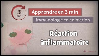 41◽ La réponse inflammatoire I [upl. by Melly]