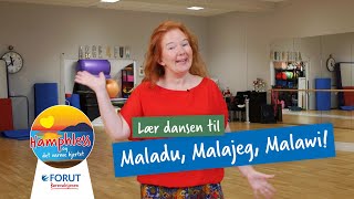 Lær dansen til quotMaladu Malajeg Malawiquot av Silje og Maria [upl. by Enirahtac930]