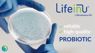 LifeinU® L rhamnosus GG The New Choice of Reliable HighQuality Probiotic [upl. by Goulet25]