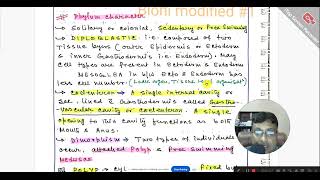 4th Batch  Phylum Cnidaria to Annelida  Animal classifiction Part 02 [upl. by O'Brien]