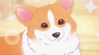 『The corgi and the samurai ～wanwan～』 Akio Otsuka ver Episode 01 [upl. by Acino]