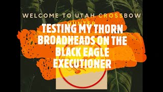 TESTING THE THORN BROADHEADS ON THE BLACK EAGLE EXECUTIONER [upl. by Noelani]