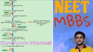 Glycolysis explained🔥🔥Khel Khatam 💪 [upl. by Revorg622]