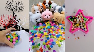 Satisfying Reverse video ASMR 🌈🐕‍🦺🐩 🦮 Funny dog videos ASMR 🦮🐕RELAXING Reverse video ASMR 🌈🐕‍🦺🐩 🦮 [upl. by Ardnossak]