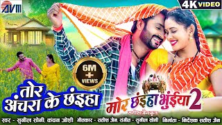 Mor Chhaiya Bhuiya 2  Cg Movie Song  Tor Achara Ke Chhaiya  Chhattisgarhi Gana  Man Diksha  AVM [upl. by Sallie]