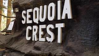 Sequoia Crest [upl. by Jenelle]