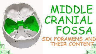 ANATOMY OF MIDDLE CRANIAL FOSSA ALL FORAMEN WITH CONTENTS [upl. by Ciaphus]