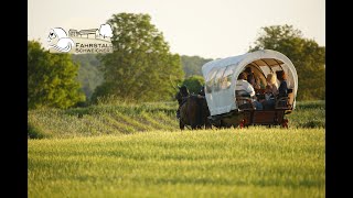 Wanderfahren  unterwegs mit Pferd und Wagen [upl. by Babette]