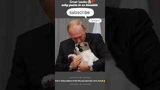 Quality of great leader 🚩🧿 shorts putin animals doglover [upl. by Vihs]