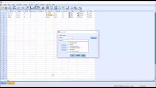 Levels of Measurement in SPSS Nominal Ordinal amp Scale [upl. by Ailemor773]