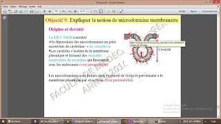 Microdomaine lipidique Raft radeau lipidique [upl. by Nizam]