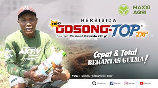 maxxiagri  herbisida Neo GOSONGTOP 276SL Cepat amp Total Basmi gulma Lahan jagung josss mantap [upl. by Aro]