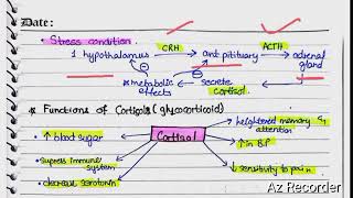 Cortical Hormones  Aldosterone  cortison  hyper and hypoaldosteronism [upl. by Lathrop284]