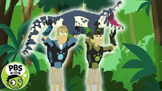 Wild Kratts  A Caiman Crocodile  PBS KIDS [upl. by Merritt282]