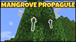 How To Get MANGROVE PROPAGULE In MINECRAFT [upl. by Deach]