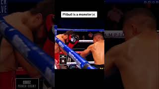 Isaac Pitbull Cruz power☠️🤜 fighting boxing knockout ko highlight edit power [upl. by Gassman267]