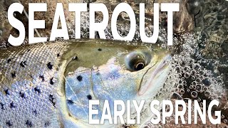 Seatrout  Early Spring  Westin Fishing [upl. by Aiak]