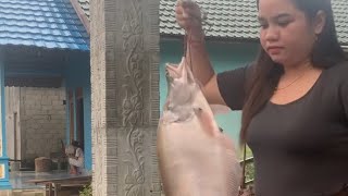 hari ini aku lagi pengantaran ikan tiba tiba digonggong anjing dan aku coba tetap tenang [upl. by Nnylg]