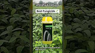 Soyabean best fungicide priaxor custodia amistar top swadhin marivon [upl. by Ylla]