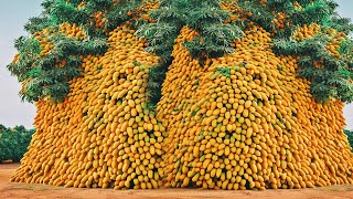 COMO se PRODUCEN MILES de TONELADAS de MANGOS anualmente en MÉXICO🥭 [upl. by Eseela367]