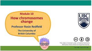 10J  Consequences of chromosome rearrangements for meiosis and gene function [upl. by Michel]