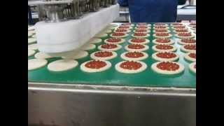 Production line and pizza baking industrial woodburning oven [upl. by Neraa]