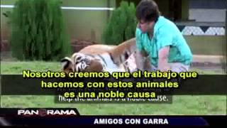 Amigos con garra relaciones extremas entre humanos y animales [upl. by Haeli]