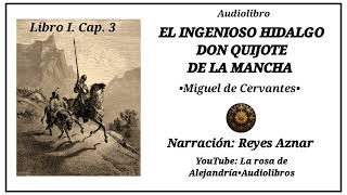 El ingenioso hidalgo don Quijote de La Mancha 352 de Miguel de Cervantes • Cap3 [upl. by Ruenhcs369]