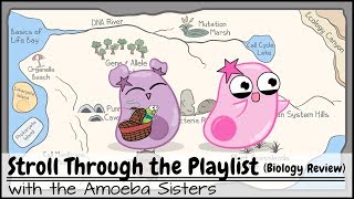 Stroll Through the Playlist a Biology Review [upl. by Ashling]