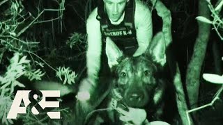 Live PD Most Viewed K9 Busts  AampE [upl. by Saturday]