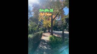 Palo Alto Fall Colors  Like👍 amp Subcribe👆please❤️ 112024 travel 202410 shorts nature bike [upl. by Dwane]