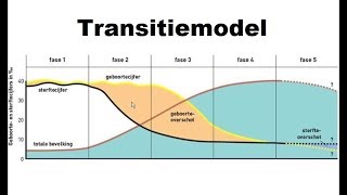 Transitiemodel en demografie [upl. by Nylleoj]