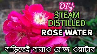 How To Make STEAM Distilled Rose WaterHomemade Rose Waterবাড়িতেই গোলাপ জল কীভাবে বানাবে [upl. by Spiros972]