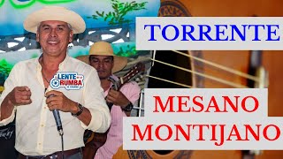 TORRENTE MESANO MONTIJANO [upl. by Cresida]