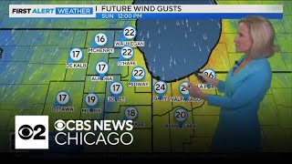 Gusty northerly winds high wave action in Chicago on Sunday [upl. by Akinet915]